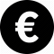 icon euro